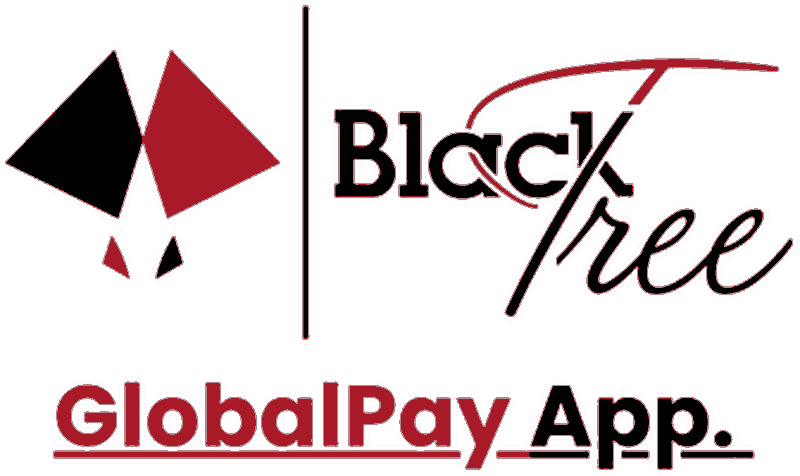 MYBLACKTREE INDIA PRIVATE LIMITED — BlackTree GlobalPay